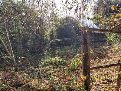 Cantalupa - Rustico Bi-Trifamigliare euro 69.000 - Foto 5
