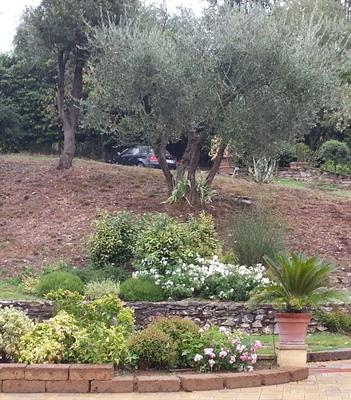 Aria Aperta Amante Campagna per pulire il giardino