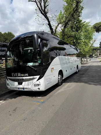 Magelys 2019
