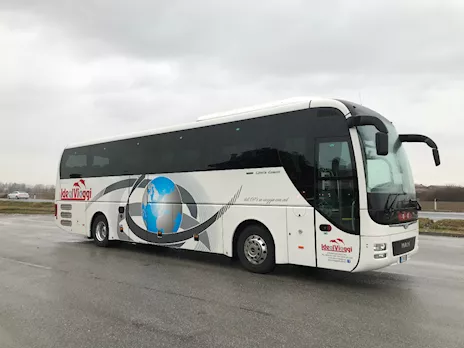 Man Lion’s coach