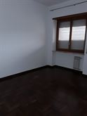 Foto - 12