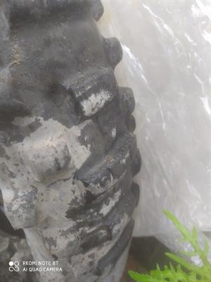 Gomme da 18 da moto cross