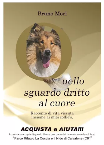Quello sguardo dritto al cuore - racconto di vita vissuta