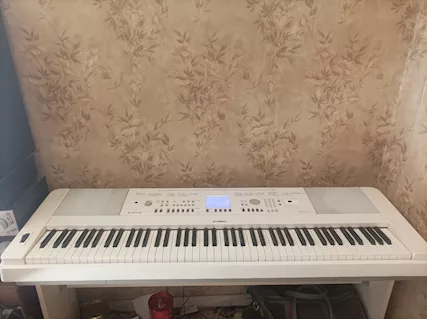 YAMAHA - Portable Grand DGX-650