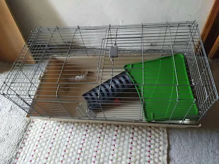 Gabbia per roditori o altri animali - Anteprima 1