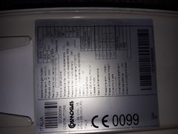 Caldaia camera stagna bms ei 15/29