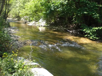 Rustico ex mulino in sassi vic.ze ruscello con terreno 3 ett