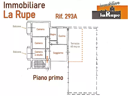 Foto - 12