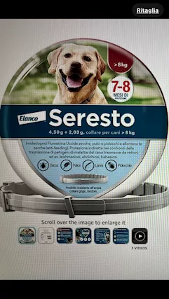 Collari per cani
