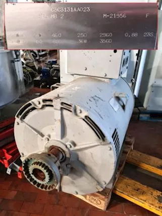 Compressore per motori ad ammoniaca ip20 usato, modello C3C3131AA023 - Foto 2