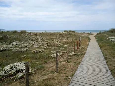 Vicino alla spiaggia