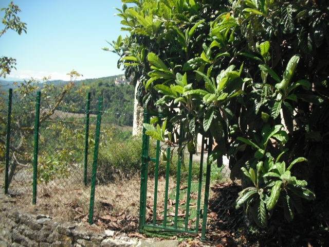 Rustico da completare libero su tre, in legno - Foto 8