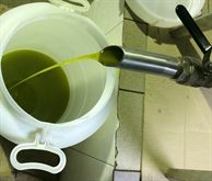 Foto 2 Olio Extravergine di Oliva del Vulture