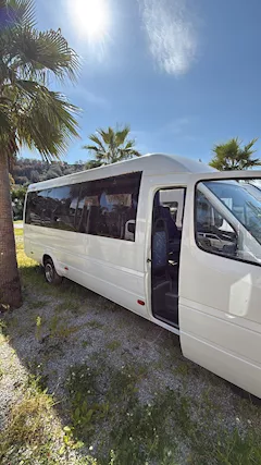 Mercedes Sprinter 412