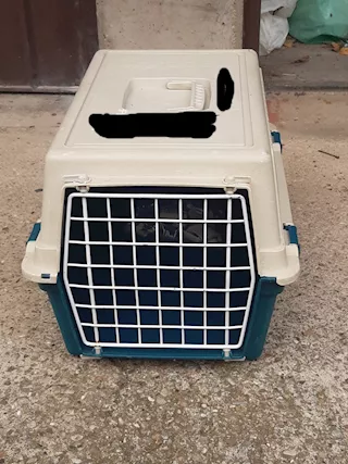 Trasportino gatto
