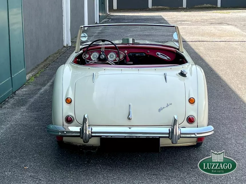 Austin-Healey 100/6 BN4 - 1958 Anno 1950 Km 51000 Cabrio, interni in pelle - Foto 4