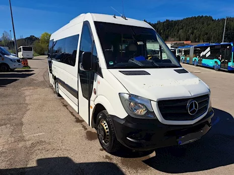 Mercedes-Benz 519 Sprinter City LE