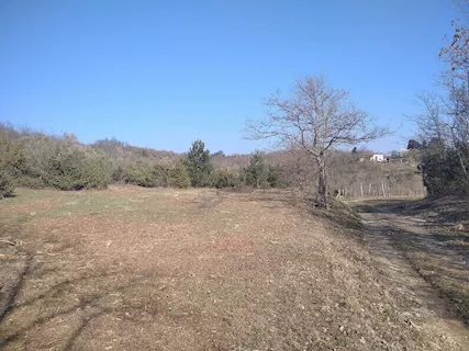 Terreno agricolo in Istria