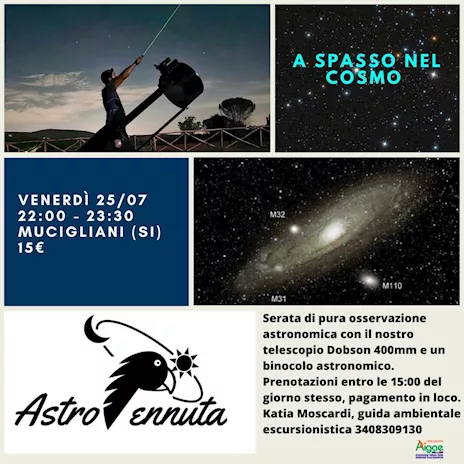 Serata sotto le stelle