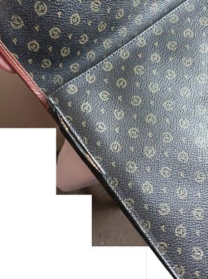 BORSA per DOCUMENTI POLLINI - Foto 4