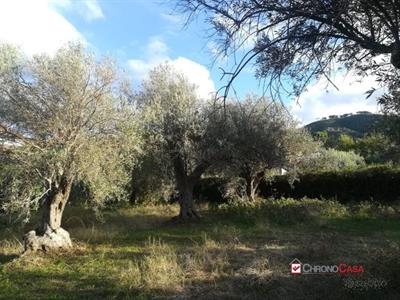 Spartà casetta da ristrutturare con terreno