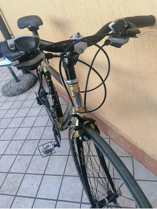 Bicicletta da Corsa Liotto