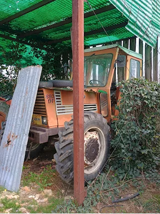 Foto - 12