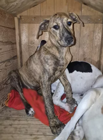 Giada 7 mesi e Gioia 6 mese, belle ma invisibili