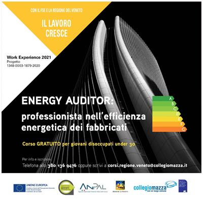 ENERGY AUDITOR: professionista nell’efficienza energetica