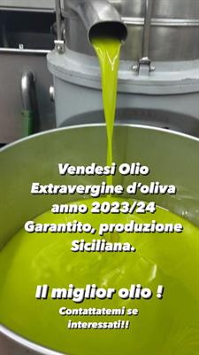 Olio D’oliva anno 2023/2024