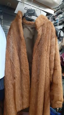 Pellicce 23736, in buone condizioni - Foto 3