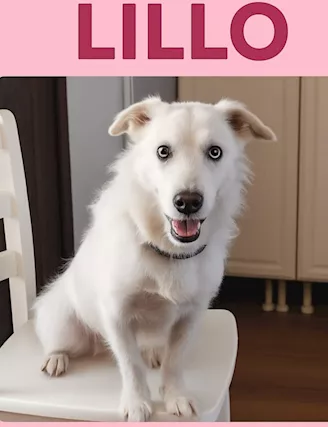 Lillo 1 anno bellissimo NON LO VOGLIONO+ PAVIA