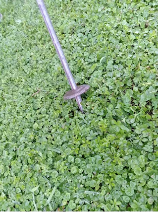 Irrigatore Girevole - Foto 4