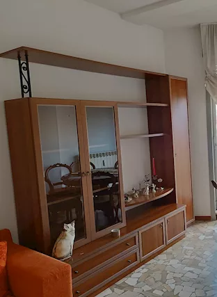Mobile soggiorno in noce moderno (), in ottime condizioni - Anteprima 1