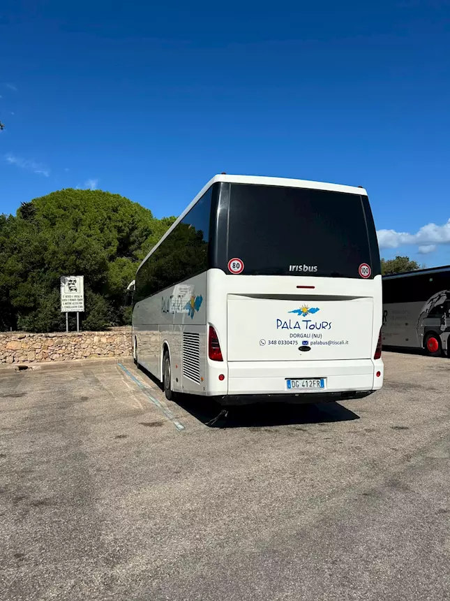 Foto 4New Domino del 2007 Marca Irizar Km 475175 Euro 4, cambio manuale