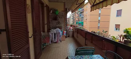 Foto - 12