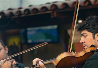 Violinista Sant'Angelo Lodigiano