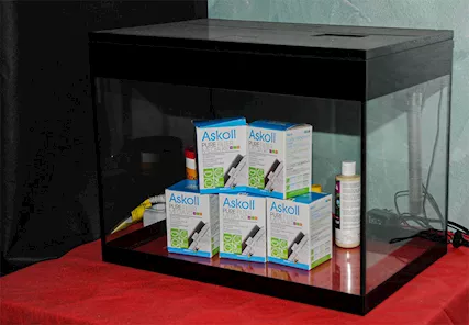 Acquario Askoll - Anteprima 2