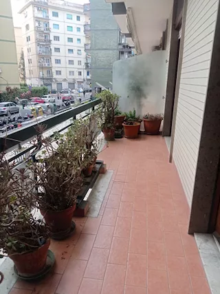 Foto - 8
