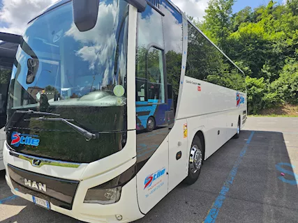 Man Lion's Coach R07