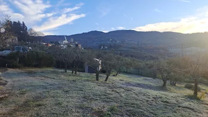 Rabdomante