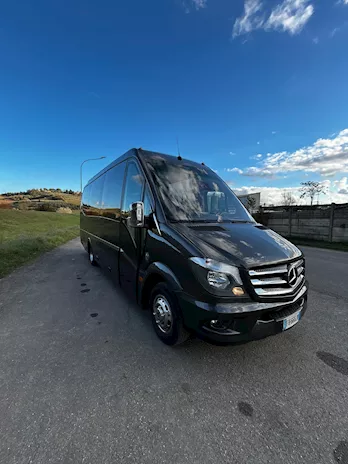 Mercedes Sprinter Winner