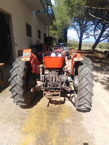 Carraro 335 2rm soll.presa di forza ottime condizioni - Foto 2