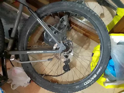 Bottecchia