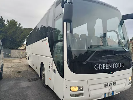 Man Lion's Coach