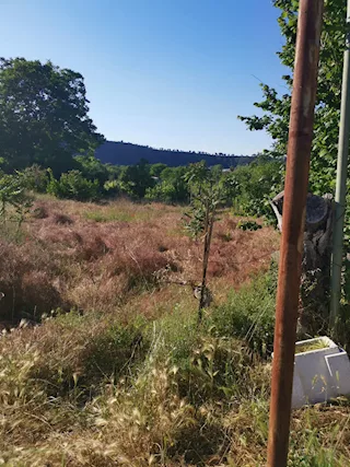Foto - 8