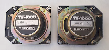 Casse diffusori autoradio Pioneer TS1000 - Foto 2