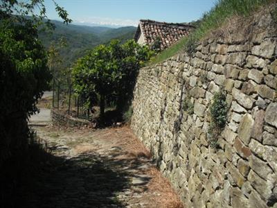 Foto - 9