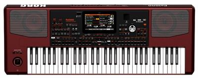 KORG Pa1000 professional arranger Electronic Keyboard Pa700