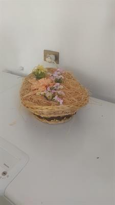 Foto - 12